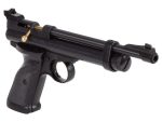 Crosman 2240 CO2 Pistol .22