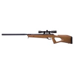 Benjamin Trail NP2 Hardwood .22