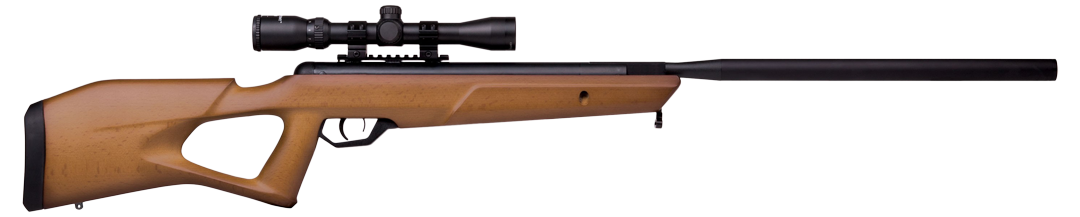 Benjamin Trail NP2 Hardwood .22