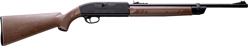 Crosman 2100 Classic Pump Rifle