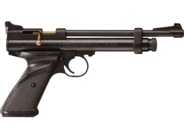 Crosman 2240 CO2 Pistol .22