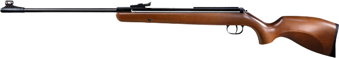 Diana Model 340 N-TEC Classic .177