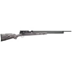 PBBA Pro 308 Airgun