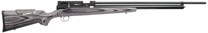 PBBA Pro 308 Airgun