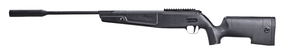 SIG Sauer ASP20 Synthetic