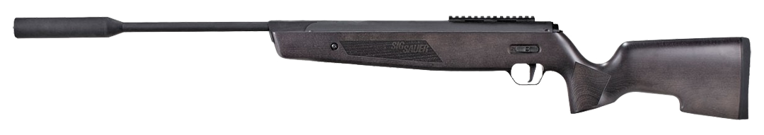 SIG Sauer ASP20 Wood