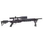 Benjamin Armada With Scope and Bipod