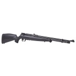 Benjamin Maximus Air Rifle