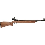 Daisy Avanti Gold Medalist 887 CO2 Air Rifle