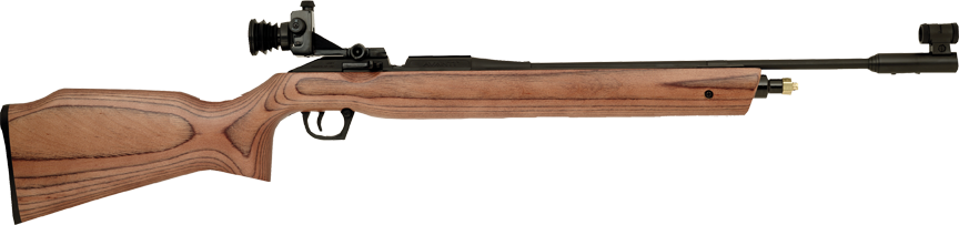 Daisy Avanti Gold Medalist 887 CO2 Air Rifle