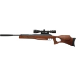 Diana Model 56 Target Hunter .25