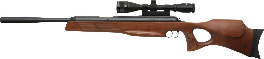 Diana Model 56 Target Hunter .25