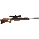Diana Model 56 Target Hunter .25