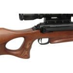 Diana Model 56 Target Hunter .25