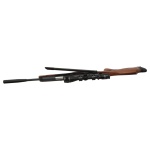 Diana Model 56 Target Hunter .25