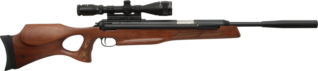 Diana Model 56 Target Hunter .25