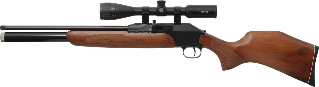 Diana Model P1000 PCP
