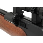 Diana Model P1000 PCP