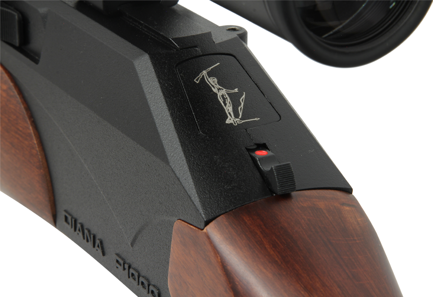 Diana Model P1000 PCP
