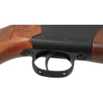 Diana Model P1000 PCP