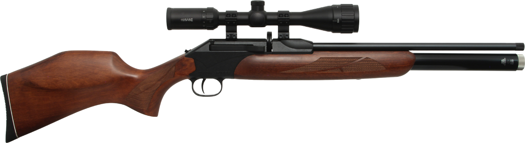 Diana Model P1000 PCP