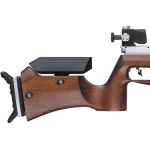Feinwerkbau (FWB) 800 Basic