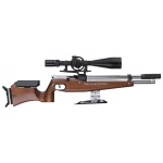 Feinwerkbau (FWB) 800 Basic Field Target 15 ft/lbs