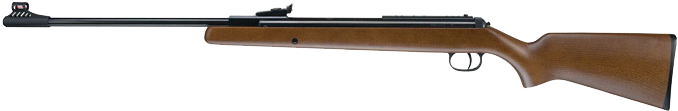 RWS Model 34