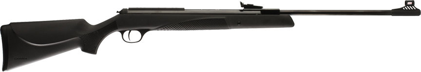 RWS Model 34 Panther