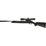 RWS Model 34 Panther Pro Compact .177 Combo
