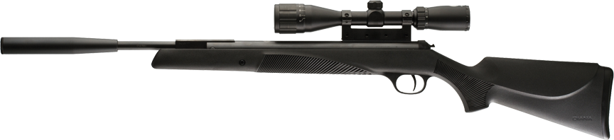 RWS Model 34 Panther Pro Compact .177 Combo