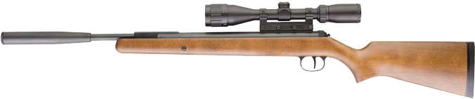 RWS Model 34 Pro Compact .177 Combo