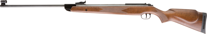 RWS 350 Magnum