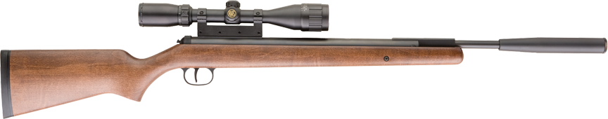 RWS 350 Pro Compact .177