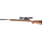 RWS 350 Pro Compact .177