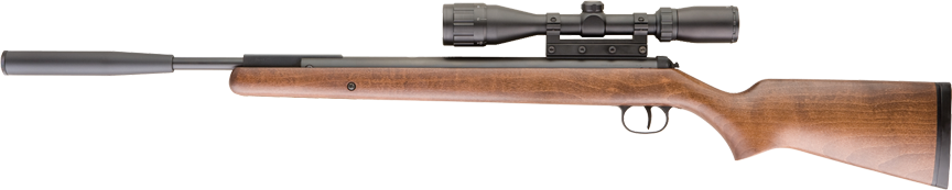 RWS 350 Pro Compact .177