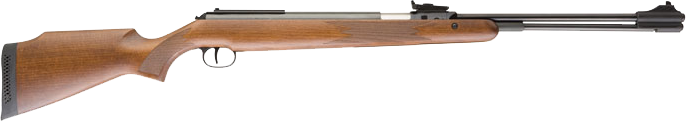 RWS Model 460 Magnum