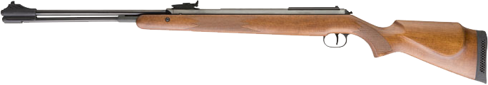 RWS Model 460 Magnum