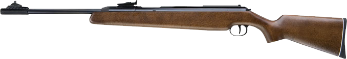 RWS Model 48 .177 Sidelever