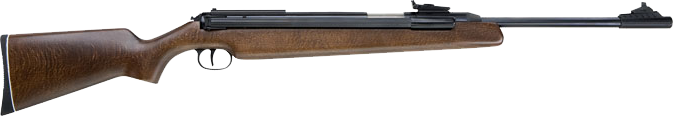RWS Model 48 .177 Sidelever
