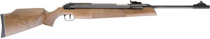 RWS Model 54 Air King