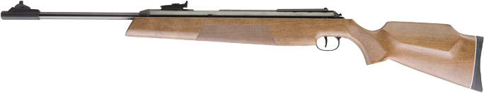 RWS Model 54 Air King
