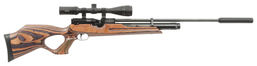 Weihrauch HW100 Laminate With Moderator