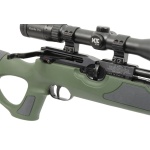 Weihrauch HW100 Green Synthetic with Moderator