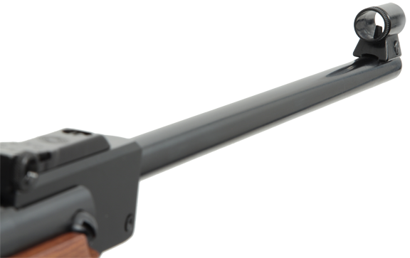Weihrauch HW95