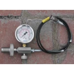 DIN300 Hose Assembly - Image 1