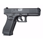 0006381_g17-gen-5-177-pellet-black
