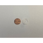 5.5K Burst Disk and Washer