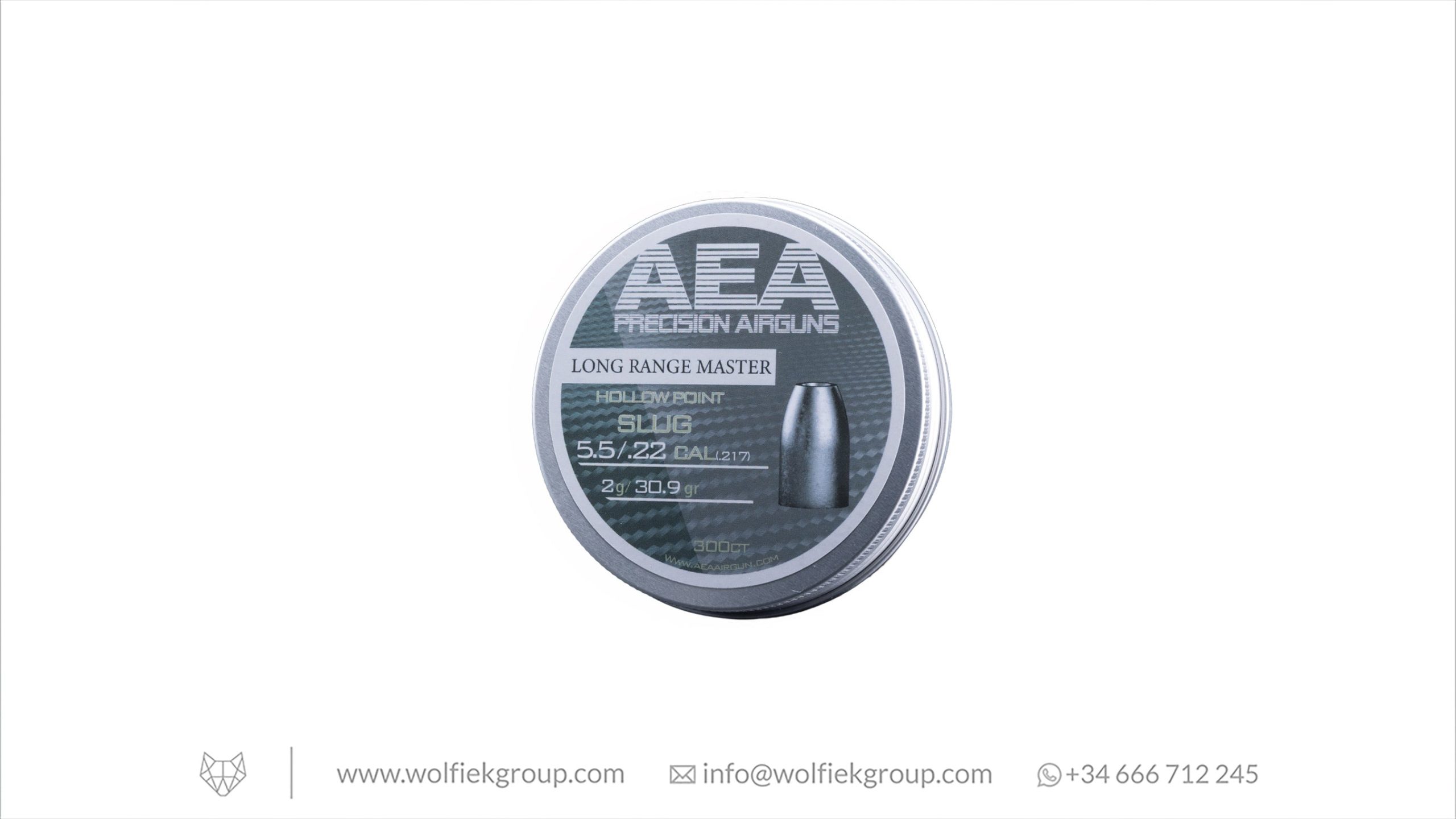 AEA Long Range Master Slugs · Hollow Point · Cal .22 (5.5mm)