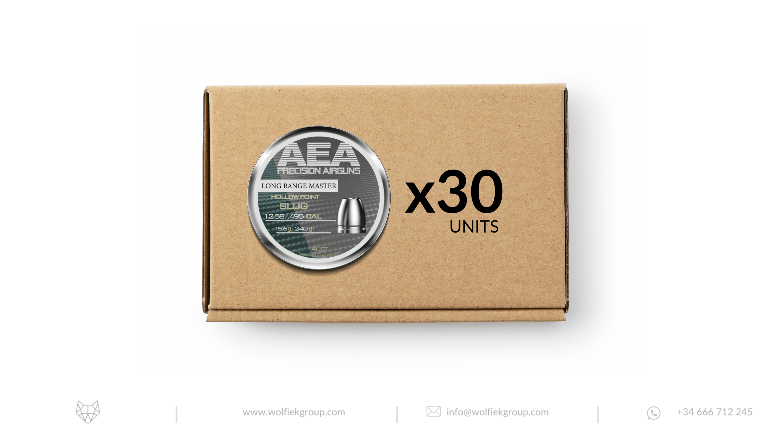 AEA Master Box Long Range Master Hollow Point Slugs - Cal .495 (12.58mm) | 15.6g (240gr) - image 1 AEA Master Box Long Range Master Hollow Point Slugs - Cal .495 (12.58mm) | 15.6g (240gr)